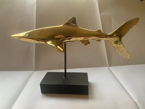 Requin blanc bronze poli - en,