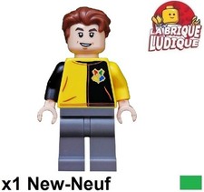 Lego Figurine Minifig Harry
