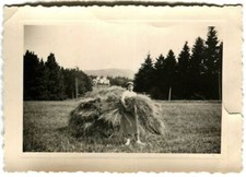 B34 PHOTO ANCIENNE JEUNE FERMIERE AVEC BOTTE DE FOIN   / 10 X 7 CM