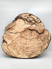 Bloc Loupe de Frêne Naturel