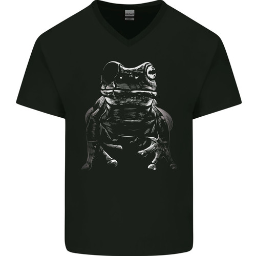 Grenouille avec un - avec,