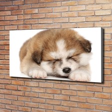 Tulup Image Sur Toile Tableau Imprimé 120x60cm - Chiot Akita