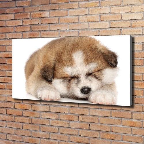 Tulup image sur toile - tulup,