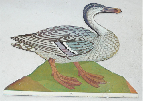 Canard decor appliquer en - canard,
