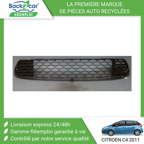 Grille pare choc - 🏆,