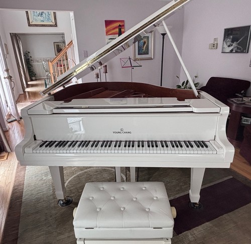 Young chang grand 150 - grand, y-150