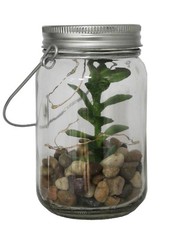 Plante grasse factice cactée