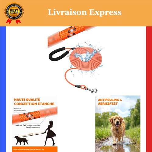 Laisse pour chien imperméable - chien,