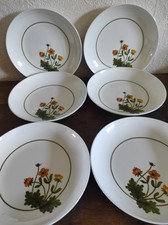 Ensemble de 6 assiettes