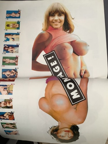Clipping goya birkin - c, goya,