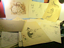 Fond d'atelier 41 croquis de chiens  signés par le peintre animalier Alex Delmar