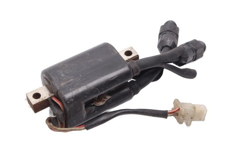 Bobine allumage module - bobine,