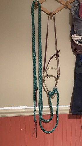 Bosal and reins hackamore - ,