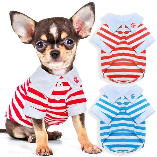 Pieces stripe dog - 2,