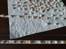 coquillage porcelaine grain de café 