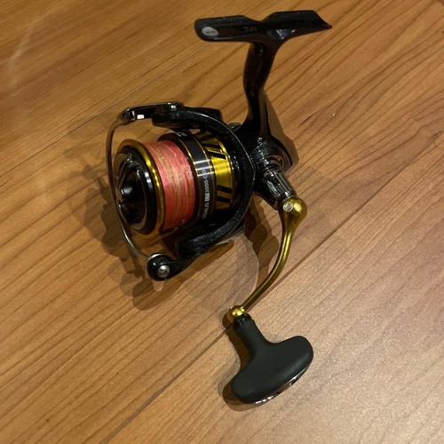 Moulinet pêche daiwa - de,