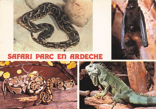 Peaugres safari parc - 7,