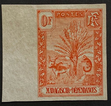 Madagascar Zébu Ravenala -