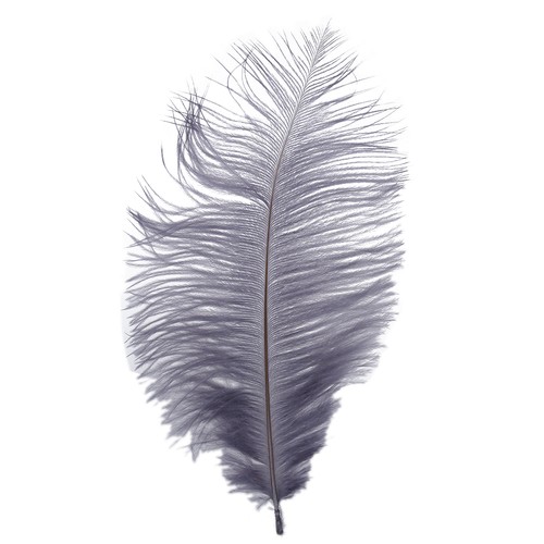 Nouveau reel naturel 12 - reel,