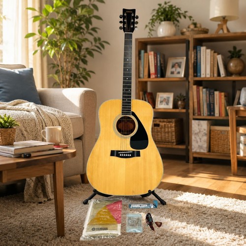 Guitare acoustique vintage
