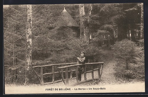 Cpa forêt bellême la - de,