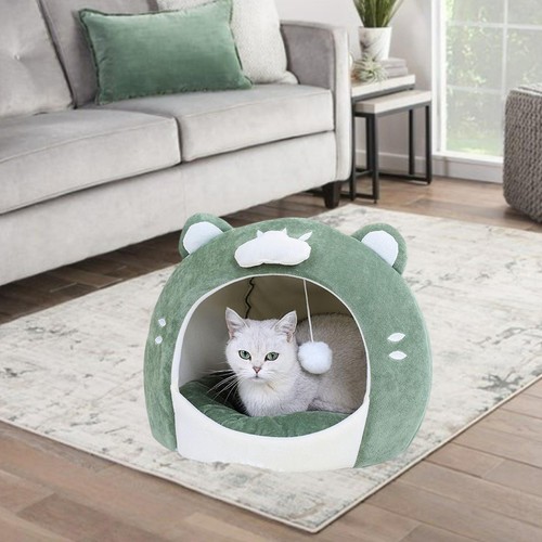 Chatons lit chat - chatons,