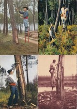 Lot 4 cartes postales