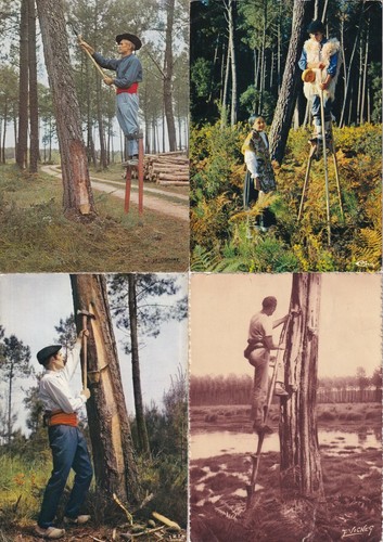 Lot cartes postales - 4,