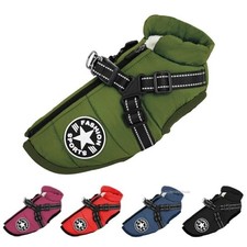 Manteau Imperméable Chien