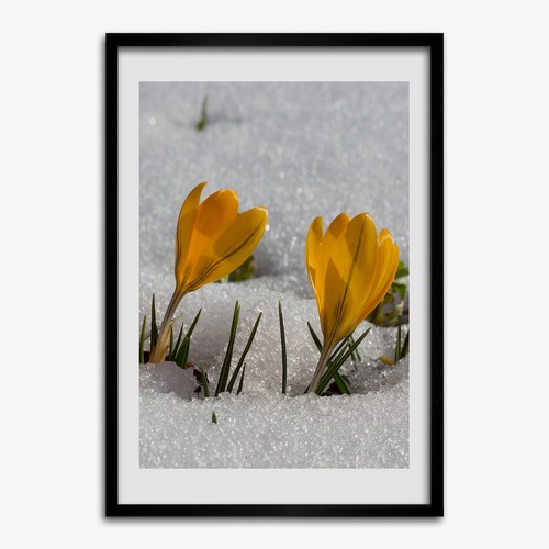 Photo salon 70x100cm cadre - photo,