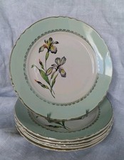 6 assiettes plates en faïence