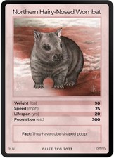 Northern Hairy-Nosed Wombat Holo 12/100 Life TCG