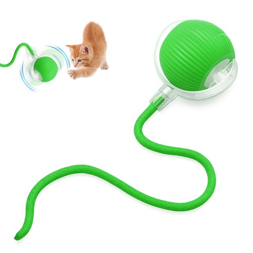 Jouet interactif pour chat - jouet,