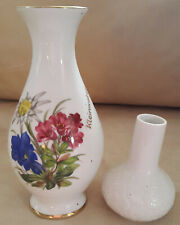 2 Vases Décoratifs En