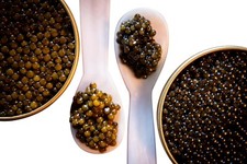 Caviar baeri classic - classic, +