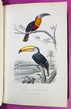 BUFFON - FLOURENS - Nouvelle