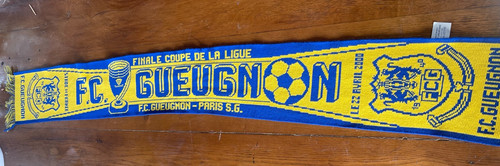 Echarpe gueugnon v psg - fc,
