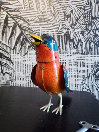 Oiseau siffleur - oiseau,