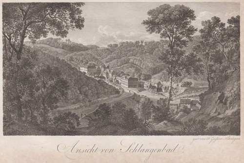 Schlangenbad vue générale - schlangenbad,
