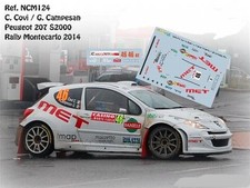 DECALS 1/43 PEUGEOT 207 S2000