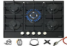 Phénix PG-701T Montage