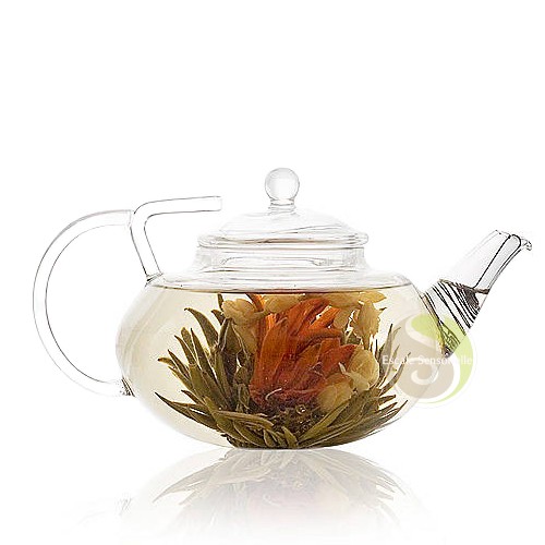 Théière verre filtre inox - théière, en