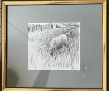 La Jument et son poulain au pré - André Cottavoz - Mine de plomb - 1977