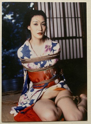 Nobuyoshi araki carton - araki, d