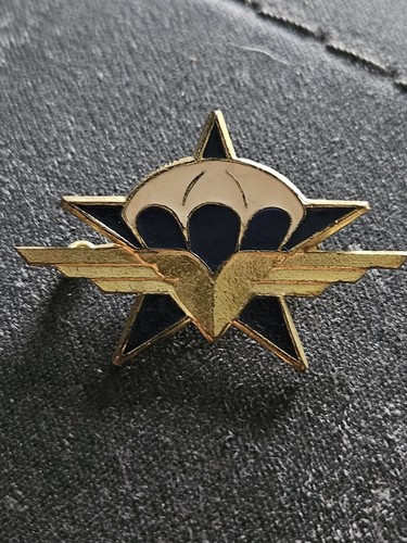 Insigne pucelle militaire 1er - pucelle,