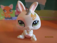 Petshop Lapin #1855