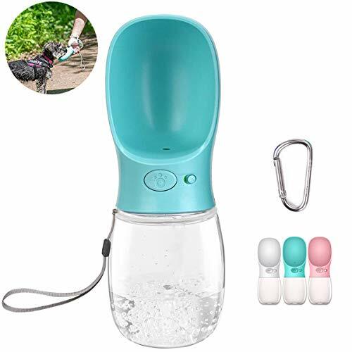Bouteille eau pour chien - pour,