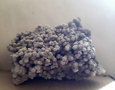 Gogotte originale France 16