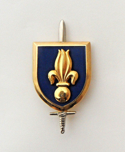 Broche insigne armée atlas - armée,