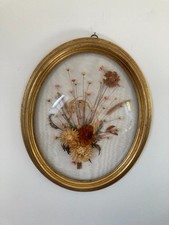 1025⚜️ Ancien Cadre Ovale Doré en Verre Bombé Fleurs Séchées Vintage Haut 30 Cm